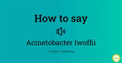 acinetobacter lwoffii pronunciation.